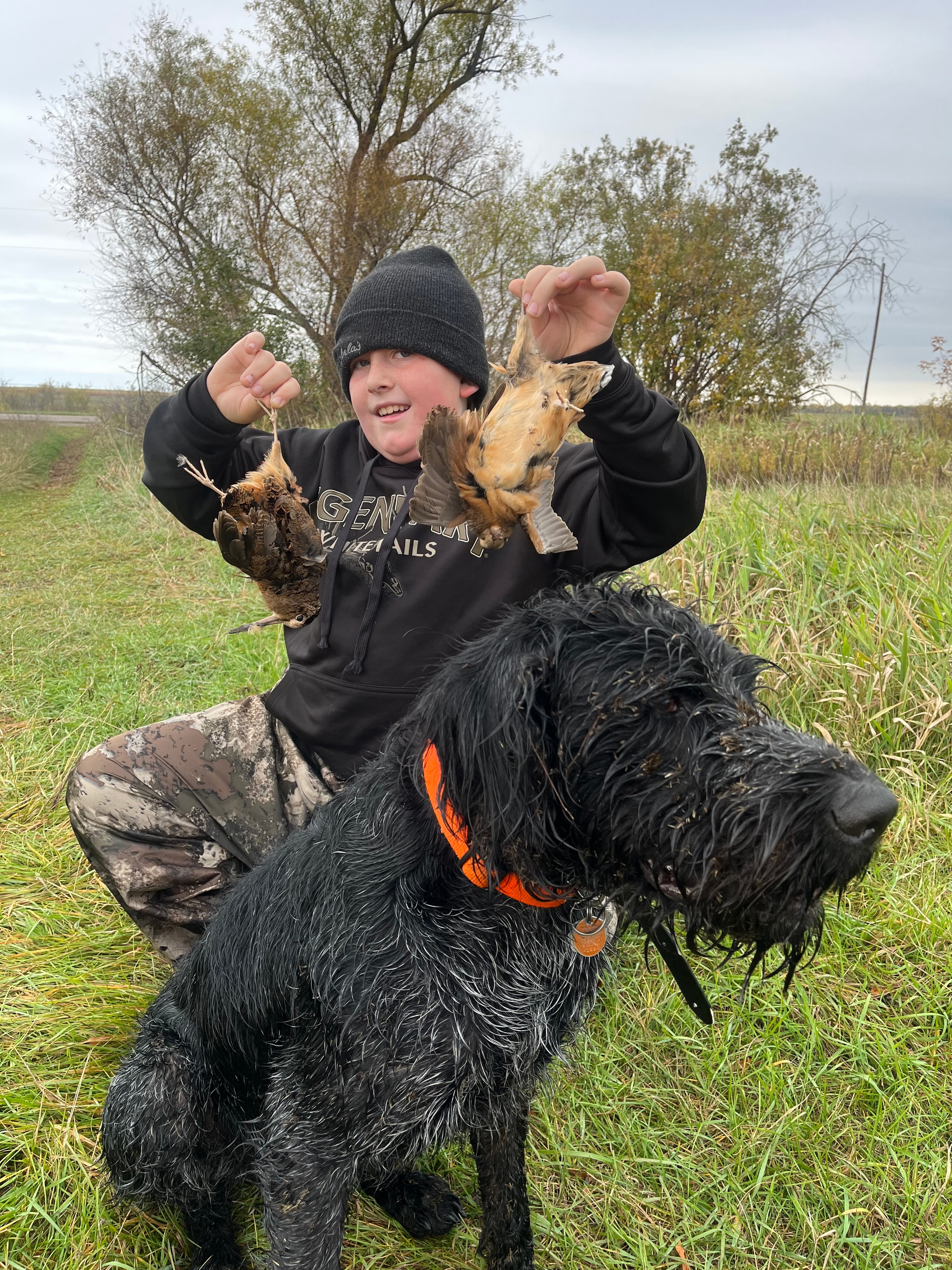 Dog retrieving waterfowl from water